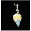 charm's cornet de glace
