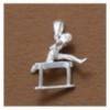 hedge jump pendant