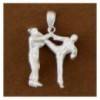 two karatekas pendant