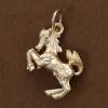 pendentif cheval cabré