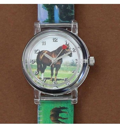 montre prairie avec cheval