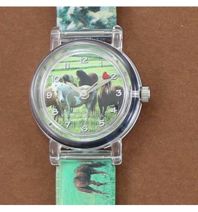 montre hordes de chevaux sauvages