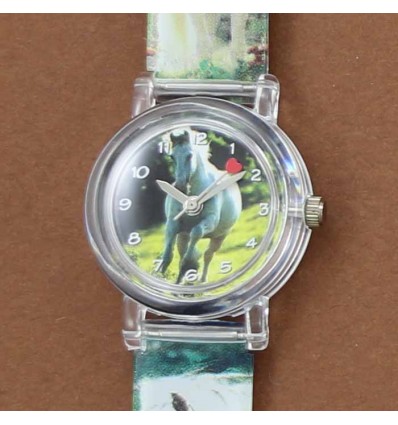 montre chevaux blancs