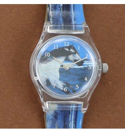 montre cheval arabe blanc dans la mer