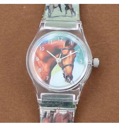 montre tête de cheval alezan avec filet