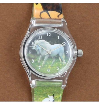 montre cheval blanc et prairie