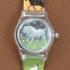 montre cheval blanc et prairie