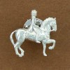 horse dressage pin