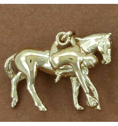 pendentif ramasseur de horse-ball