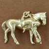 pendentif ramasseur de horse-ball