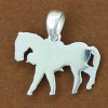 pendentif ramasseur de horse-ball petit