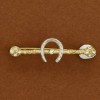 horse shoe brooch